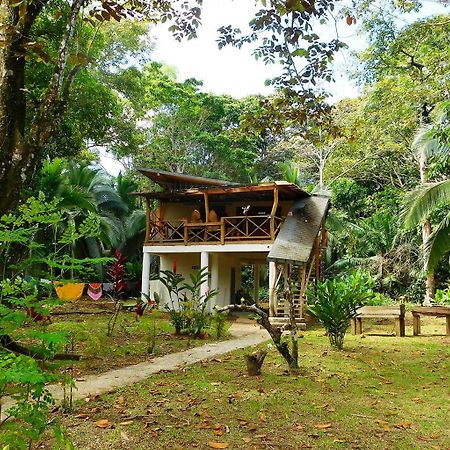 Green Corner Cahuita Buitenkant foto