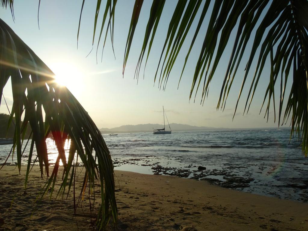 Caribbean Secret Villa Cahuita Buitenkant foto