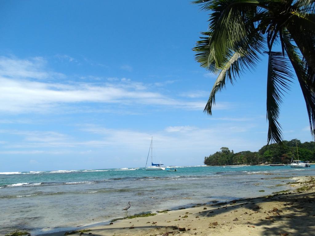 Caribbean Secret Villa Cahuita Buitenkant foto