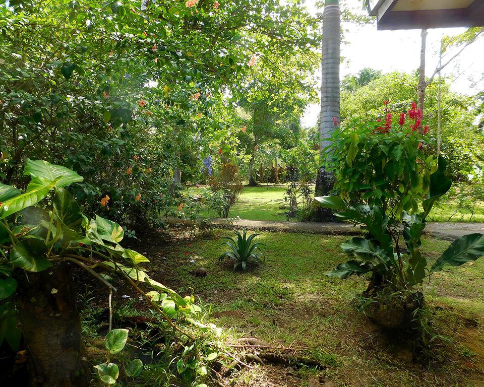 Green Corner Cahuita Buitenkant foto