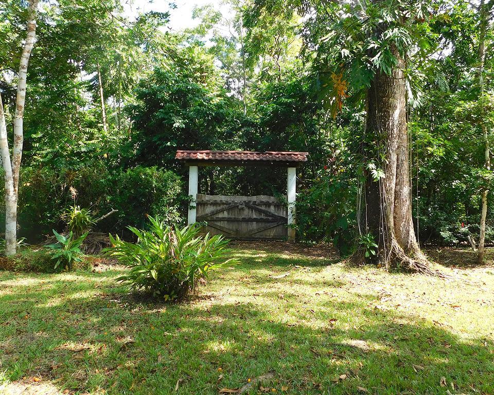 Green Corner Cahuita Buitenkant foto