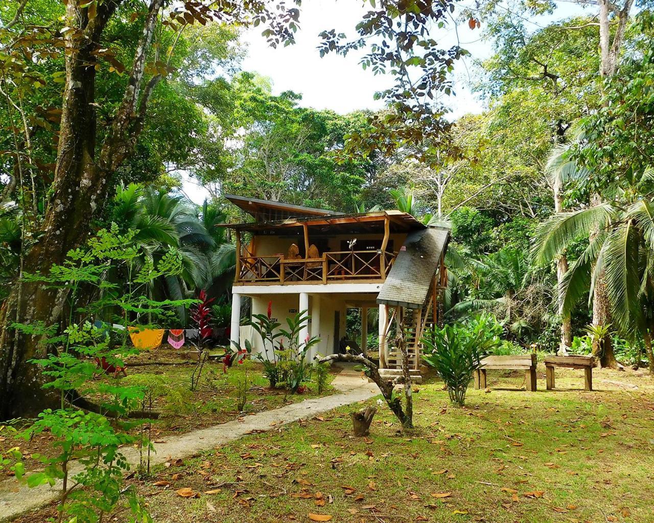 Green Corner Cahuita Buitenkant foto